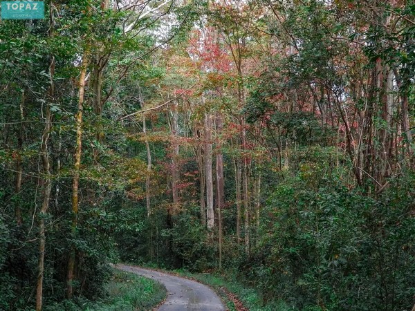 Du khách có thể đến vườn Cát Tiên vào thời gian từ tháng 12 - tháng 5 năm sau. 