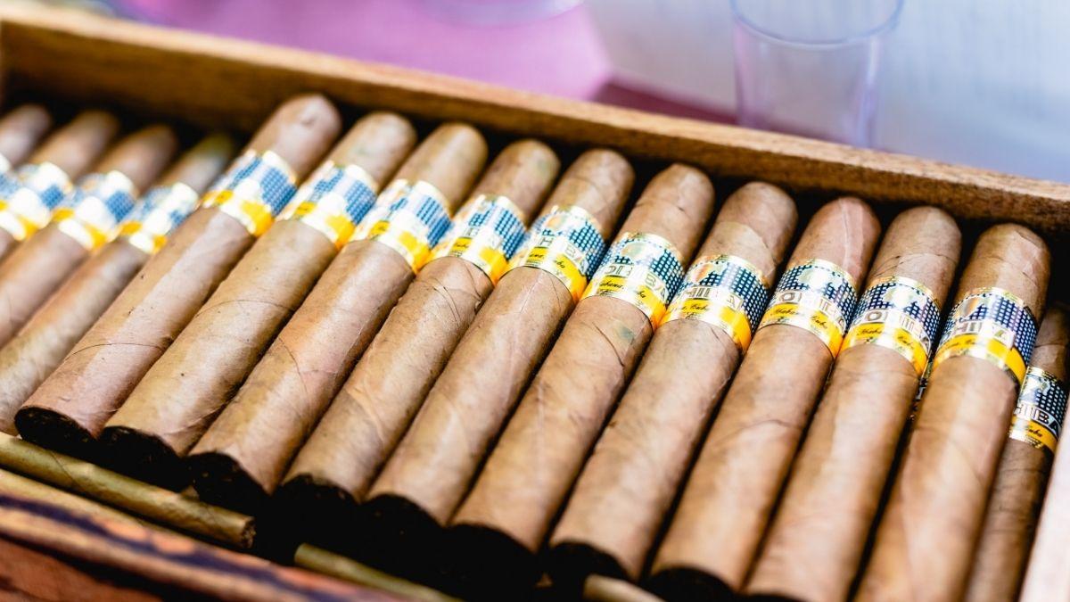 Nhiều cửa hàng cigar xuất hiện tại Việt Nam